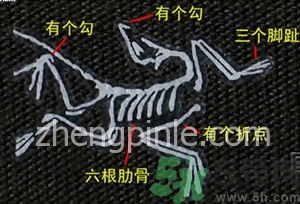 始祖鳥沖鋒衣真假怎么辨別?始祖鳥沖鋒衣真假鑒別圖 始祖鳥沖鋒衣真假怎么辨別?始祖鳥沖鋒衣真假鑒別圖