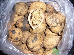 山核桃皮能治癌癥嗎?山核桃皮的功效與作用 山核桃皮能治癌癥嗎?山核桃皮的功效與作用