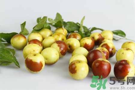 老人吃冬棗好嗎？老人吃冬棗的好處有哪些？