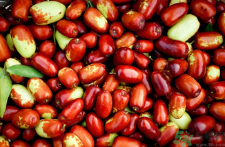 新鮮紅棗補血嗎？吃新鮮紅棗補血嗎？