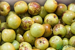 糖精冬棗怎么辨認(rèn)？糖精棗的鑒別方法