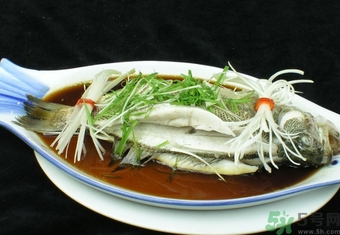 鱸魚是淡水魚還是海水魚？鱸魚是海魚嗎？