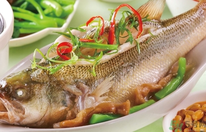 鱸魚是發(fā)物嗎？手術(shù)后可以吃鱸魚嗎？