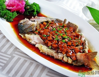 鱸魚和桂魚哪個好吃？鱸魚和桂魚的區(qū)別