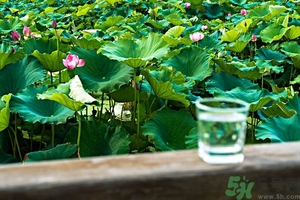 小蘇打能治癌癥嗎？蘇打水可以治癌癥嗎？