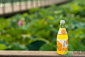 小蘇打能治癌癥嗎？蘇打水可以治癌癥嗎？