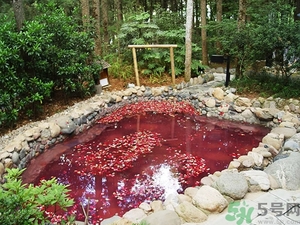 溫泉度假村哪里好？泡溫泉去哪里最好？