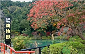 溫泉度假村哪里好？泡溫泉去哪里最好？