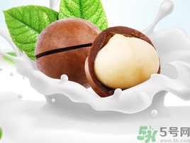 百草味和三只松鼠哪個好吃?百草味和三只松鼠哪個便宜? 百草味和三只松鼠哪個好吃?百草味和三只松鼠哪個便宜?