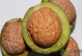 干核桃和濕核桃哪個好？干核桃和濕核桃的區(qū)別