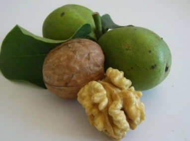 生核桃怎么保存？生核桃怎么保存最好？