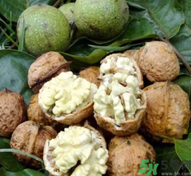 新鮮核桃吃多了會怎么樣？新鮮核桃吃多了會上火嗎？