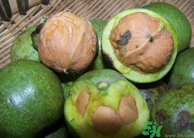 新鮮核桃吃多了會怎么樣？新鮮核桃吃多了會上火嗎？