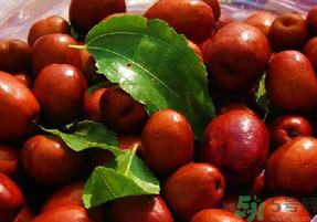 孕婦能吃新鮮紅棗嗎？新鮮紅棗孕婦可以吃嗎？