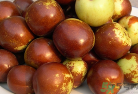 孕婦能吃新鮮紅棗嗎？新鮮紅棗孕婦可以吃嗎？