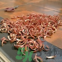 雞蛋果的皮能吃嗎？雞蛋果的皮有什么營(yíng)養(yǎng)