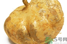 涼暑什么時候最好吃？涼薯發(fā)芽能吃嗎？