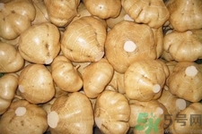 涼暑什么時候最好吃？涼薯發(fā)芽能吃嗎？