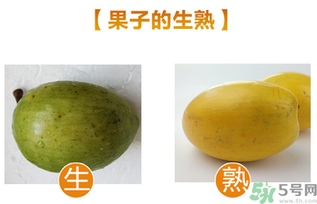 蛋黃果多少錢一斤？蛋黃果什么時候成熟？