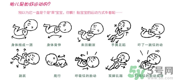 胎動(dòng)怎么數(shù)最正確？胎動(dòng)有什么規(guī)律？