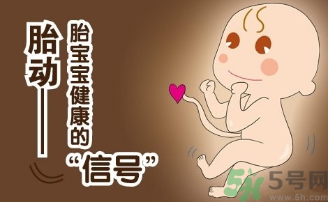 胎動(dòng)怎么數(shù)最正確？胎動(dòng)有什么規(guī)律？