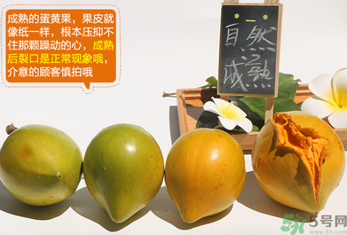 蛋黃果怎么催熟？生的蛋黃果如何催熟？