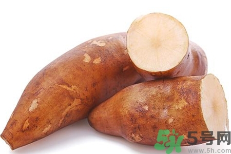 天山雪蓮果的營(yíng)養(yǎng)價(jià)值 天山雪蓮果的功效與作用 天山雪蓮果的營(yíng)養(yǎng)價(jià)值 天山雪蓮果的功效與作用