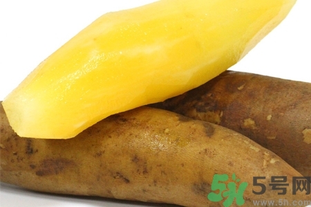 天山雪蓮果的營(yíng)養(yǎng)價(jià)值 天山雪蓮果的功效與作用 天山雪蓮果的營(yíng)養(yǎng)價(jià)值 天山雪蓮果的功效與作用