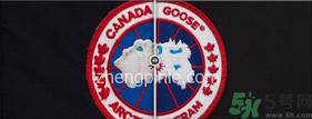Canada Goose加拿大鵝羽絨服真假辨別對比圖 Canada Goose加拿大鵝羽絨服真假辨別對比圖
