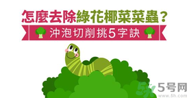 西蘭花里有蟲子怎么辦？花椰菜里面好多蟲怎么辦？