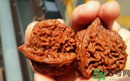 核桃長(zhǎng)蟲(chóng)了還能吃嗎？核桃長(zhǎng)蟲(chóng)子怎么處理？