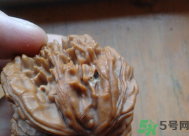 核桃長(zhǎng)蟲(chóng)了還能吃嗎？核桃長(zhǎng)蟲(chóng)子怎么處理？