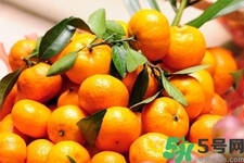 桔子和橘子有什么區(qū)別？桔子柑子橙子的區(qū)別