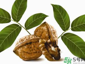 核桃一天吃幾個(gè)合適？核桃一天吃幾個(gè)最好？