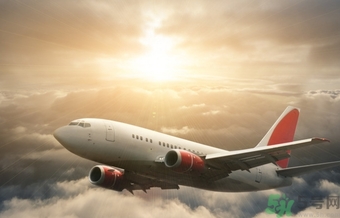 懷孕兩個(gè)月可以坐飛機(jī)嗎？懷孕兩個(gè)月坐飛機(jī)注意事項(xiàng)