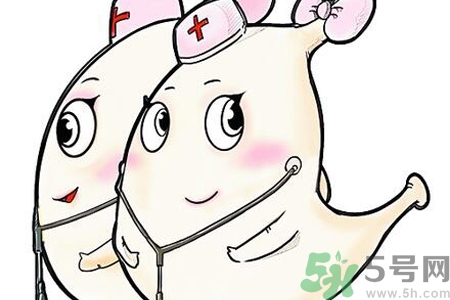 胃會(huì)餓小嗎？經(jīng)常肚子餓對(duì)胃有什么影響？