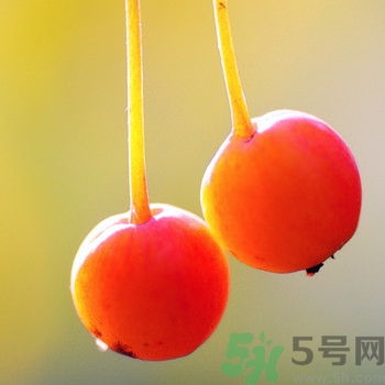 海棠果孕婦能吃嗎？海棠果的功效與作用