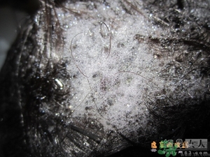 淳萃水舞櫻花洗發(fā)水好用嗎？淳萃水舞櫻花洗發(fā)水多少錢(qián)？