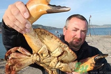 被螃蟹夾出血了怎么辦？螃蟹夾出血了怎么處理？