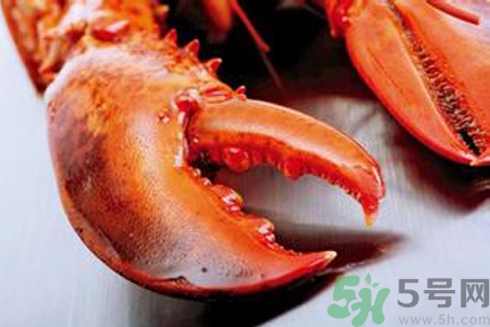 被螃蟹夾出血了怎么辦？螃蟹夾出血了怎么處理？