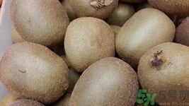 野生獼猴桃能吃嗎?野生獼猴桃的功效與作用 野生獼猴桃能吃嗎?野生獼猴桃的功效與作用