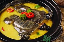 甲魚怎么吃最有營(yíng)養(yǎng)？甲魚怎么吃最補(bǔ)身體？