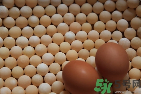 甲魚蛋多少錢一斤？甲魚蛋多少錢一個？