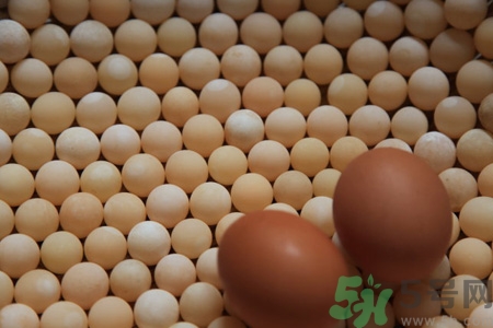 甲魚蛋能吃嗎？甲魚蛋怎么做好吃？