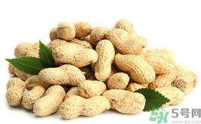 新鮮花生怎么保存？新鮮花生米怎么保存？