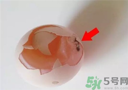 雞蛋殼有霉點還能吃嗎?雞蛋殼發(fā)霉了還能吃嗎? 雞蛋殼有霉點還能吃嗎?雞蛋殼發(fā)霉了還能吃嗎?