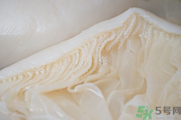 牛百葉的營養(yǎng)價值 牛百葉的功效與作用 牛百葉的營養(yǎng)價值 牛百葉的功效與作用