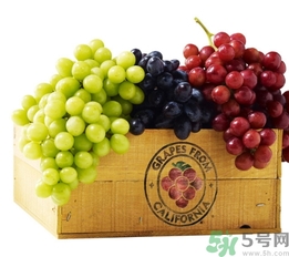 葡萄酒保質(zhì)期是多久？葡萄酒過期了能喝嗎？