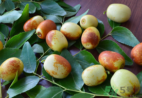 寶寶能吃鮮棗嗎？一歲寶寶可以吃鮮棗嗎？