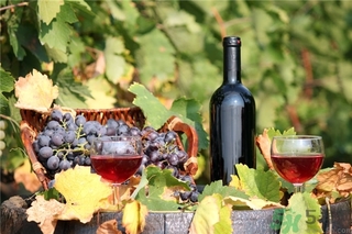 葡萄酒為什么要醒酒？葡萄酒醒酒的方法